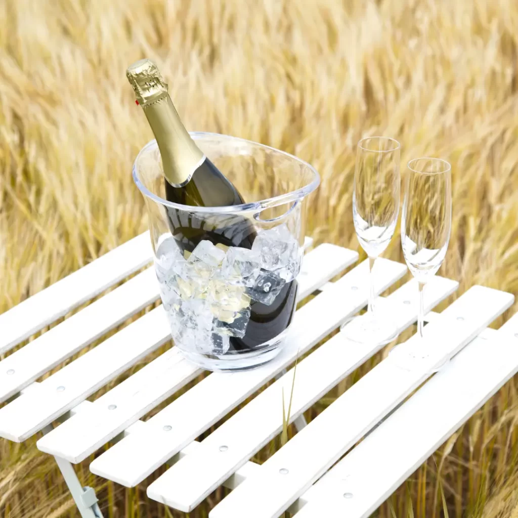 backyard kitchen wine cooler