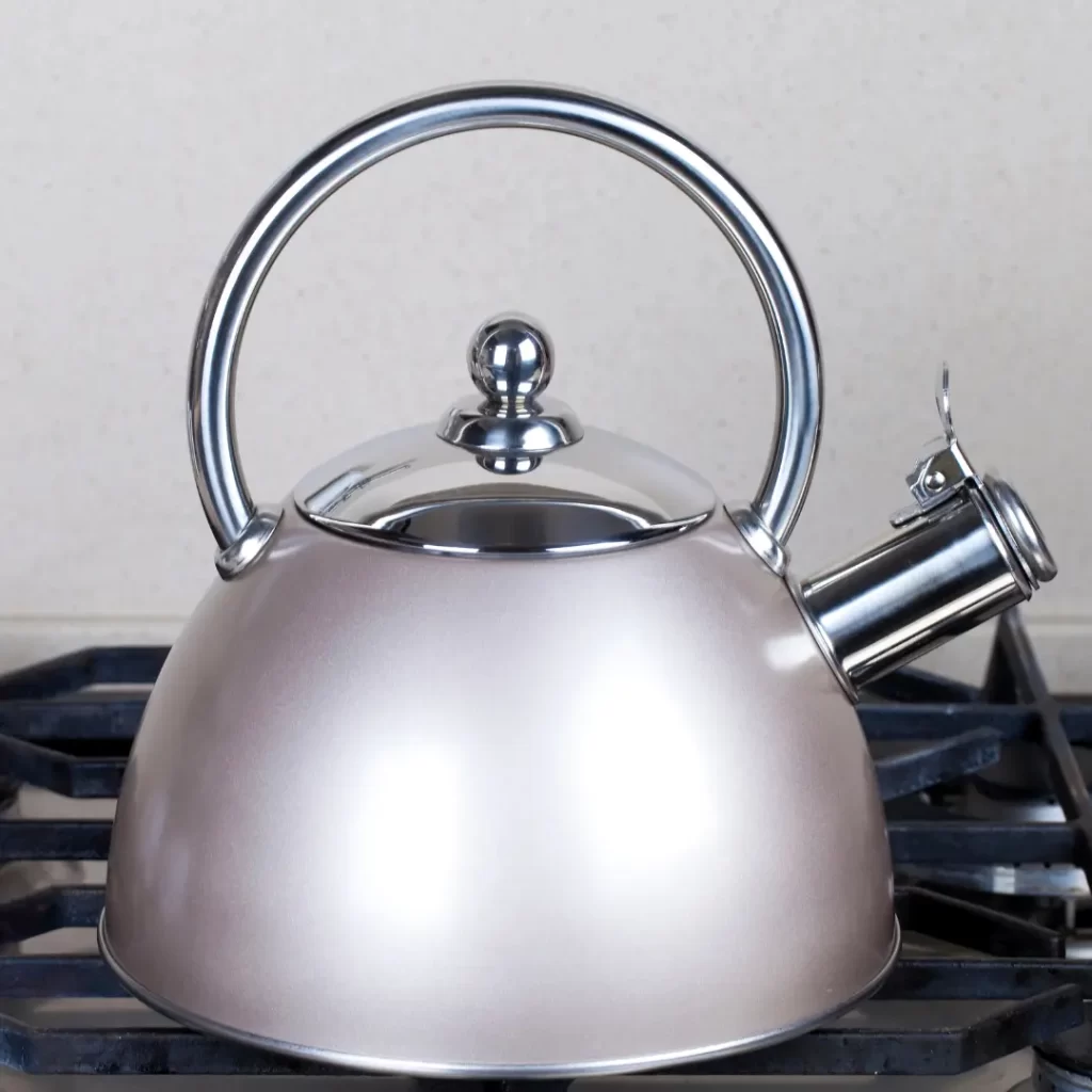 gray stainless kettle